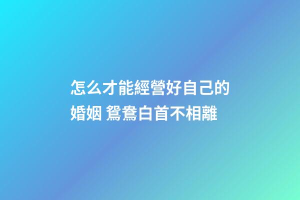 怎么才能經營好自己的婚姻 鴛鴦白首不相離